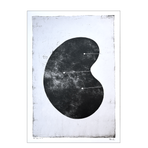 Hein Studio . Krperbohne 3. Wei