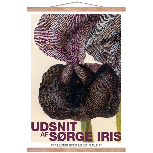 Et udsnit af srge iris 