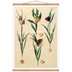 Holtzbecker, Blomstermotiv 10