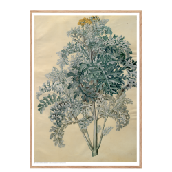 Holtzbecker, Blomstermotiv 12