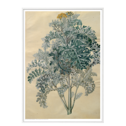 Holtzbecker, Blomstermotiv 12