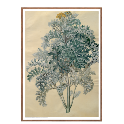 Holtzbecker, Blomstermotiv 12