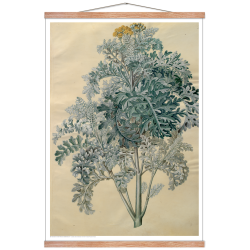 Holtzbecker, Blomstermotiv 12