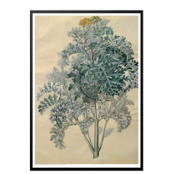 Holtzbecker, Blomstermotiv 12