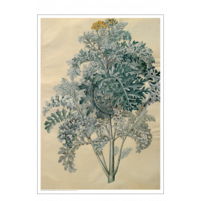 Holtzbecker, Blomstermotiv 12