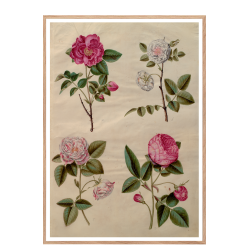 Holtzbecker, Blomstermotiv 13