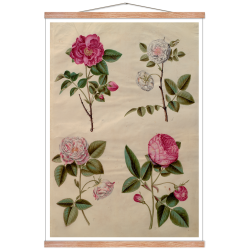 Holtzbecker, Blomstermotiv 13