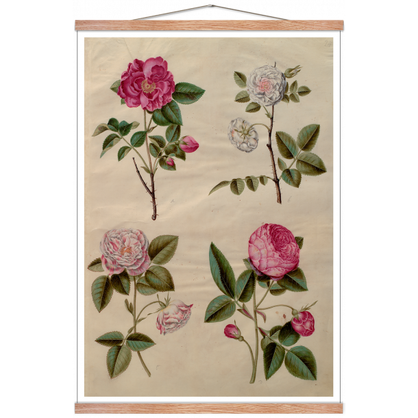 Holtzbecker, Blomstermotiv 13