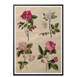 Holtzbecker, Blomstermotiv 13