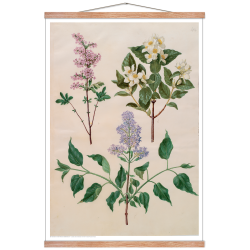 Holtzbecker, Blomstermotiv 16