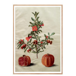 Holtzbecker, Floral Motif 17