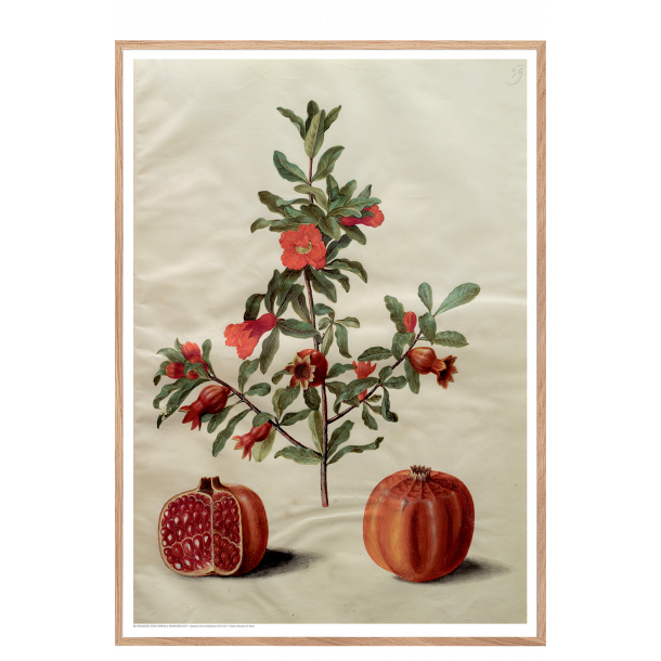 Holtzbecker, Blomstermotiv 17