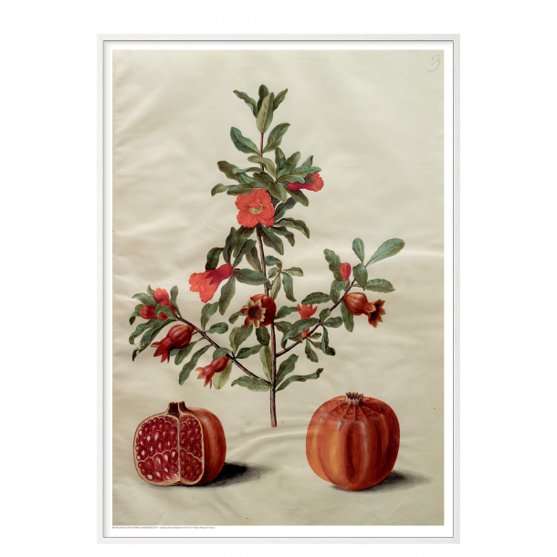 Holtzbecker, Blomstermotiv 17