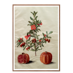 Holtzbecker, Floral Motif 17