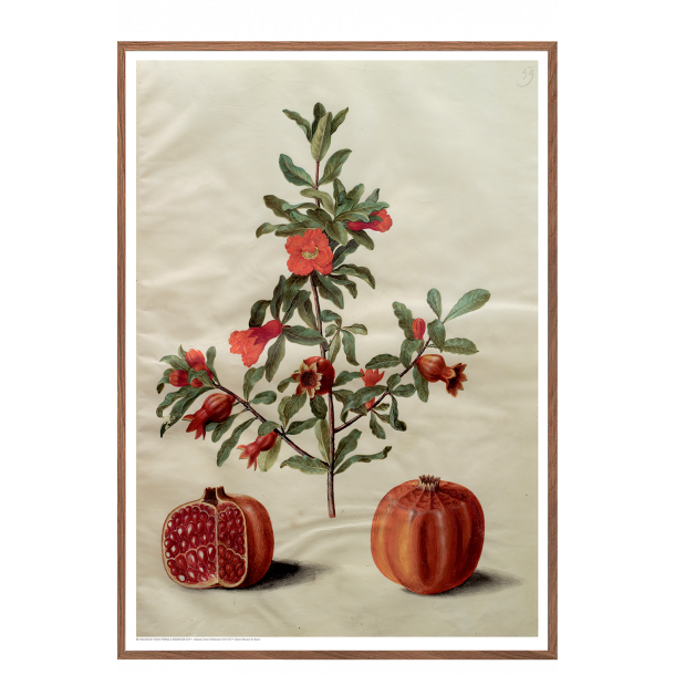 Holtzbecker, Blomstermotiv 17