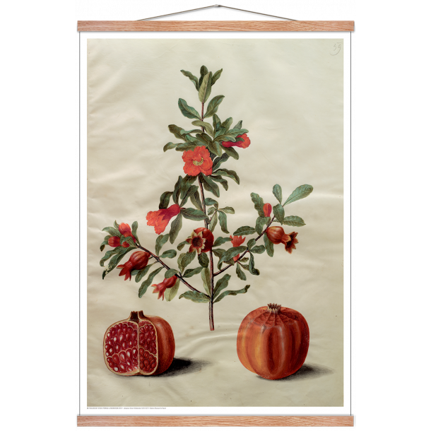 Holtzbecker, Blomstermotiv 17