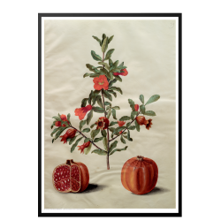 Holtzbecker, Floral Motif 17