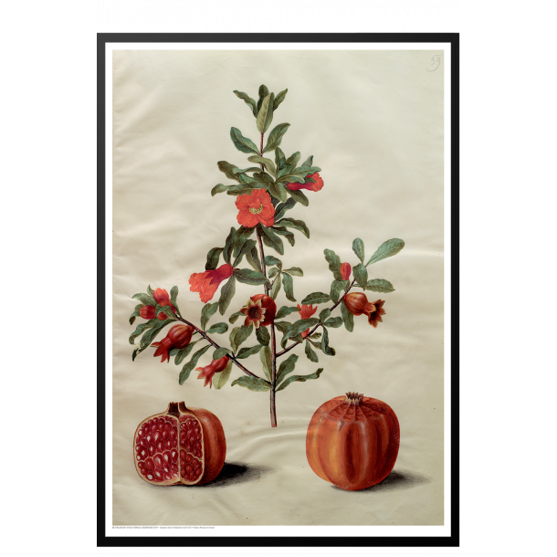 Holtzbecker, Blomstermotiv 17