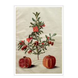 Holtzbecker, Floral Motif 17