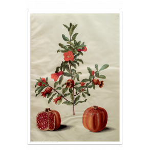 Holtzbecker, Blomstermotiv 17