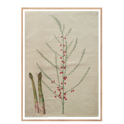 Holtzbecker, Blomstermotiv 19