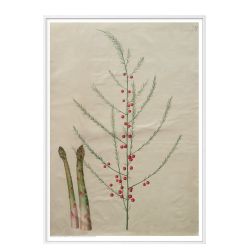 Holtzbecker, Blomstermotiv 19