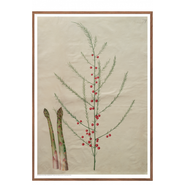 Holtzbecker, Blomstermotiv 19