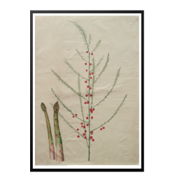 Holtzbecker, Blomstermotiv 19