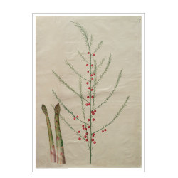 Holtzbecker, Blomstermotiv 19