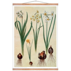 Holtzbecker, Blomstermotiv 2