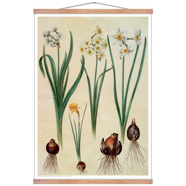 Holtzbecker, Blomstermotiv 2