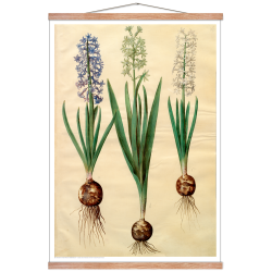 Holtzbecker, Floral Motif 3