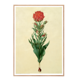 Holtzbecker, Blomstermotiv 5