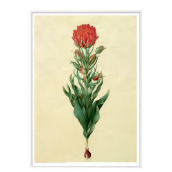 Holtzbecker, Blomstermotiv 5