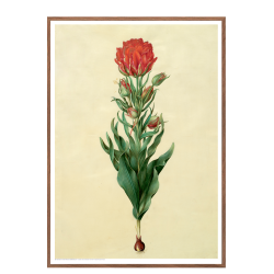 Holtzbecker, Blomstermotiv 5