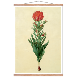 Holtzbecker, Blomstermotiv 5