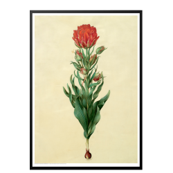 Holtzbecker, Blomstermotiv 5