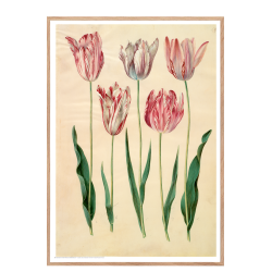 Holtzbecker, Floral Motif 6