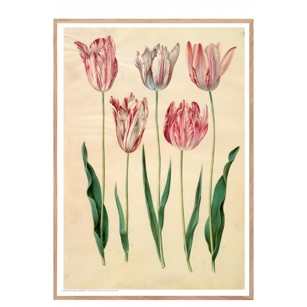 Holtzbecker, Blomstermotiv 6