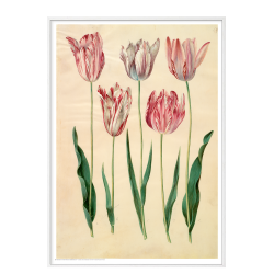 Holtzbecker, Floral Motif 6