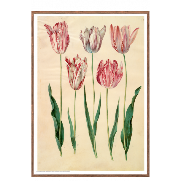 Holtzbecker, Blomstermotiv 6