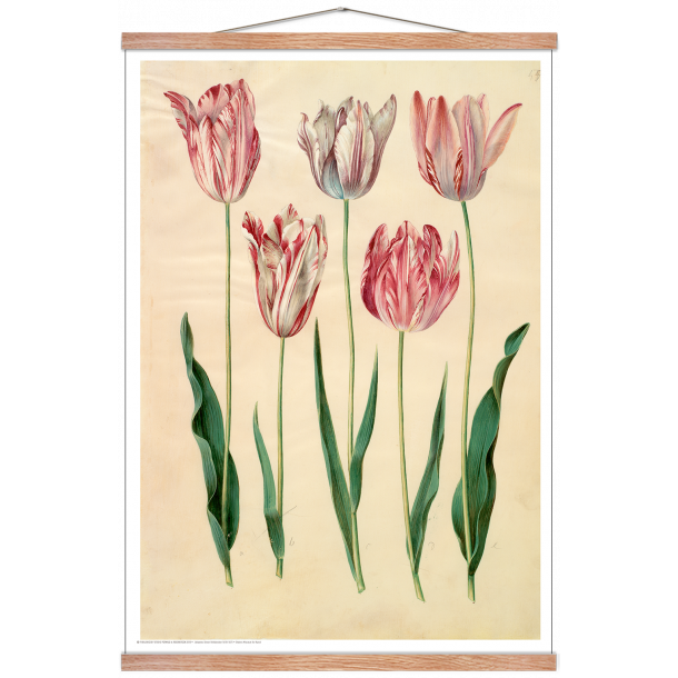 Holtzbecker, Blomstermotiv 6