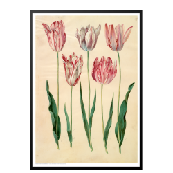 Holtzbecker, Floral Motif 6