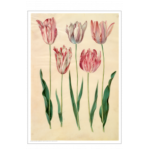 Holtzbecker, Blomstermotiv 6