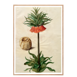 Holtzbecker, Blomstermotiv 9