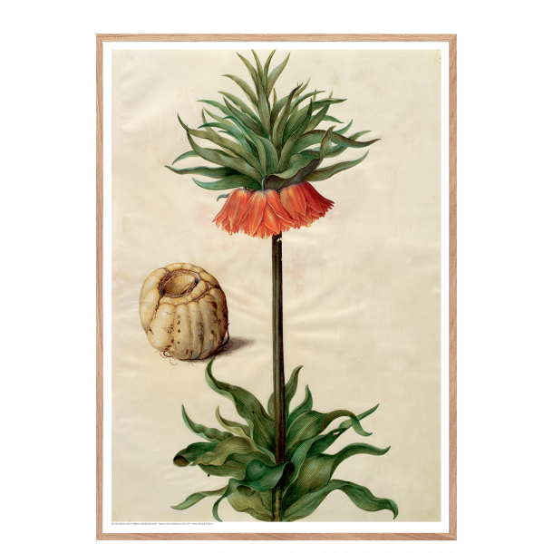 Holtzbecker, Blomstermotiv 9