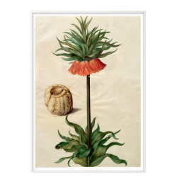 Holtzbecker, Blomstermotiv 9