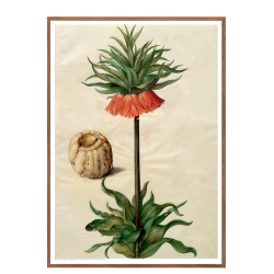 Holtzbecker, Blomstermotiv 9