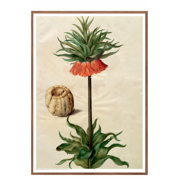 Holtzbecker, Blomstermotiv 9