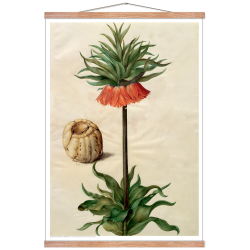 Holtzbecker, Blomstermotiv 9